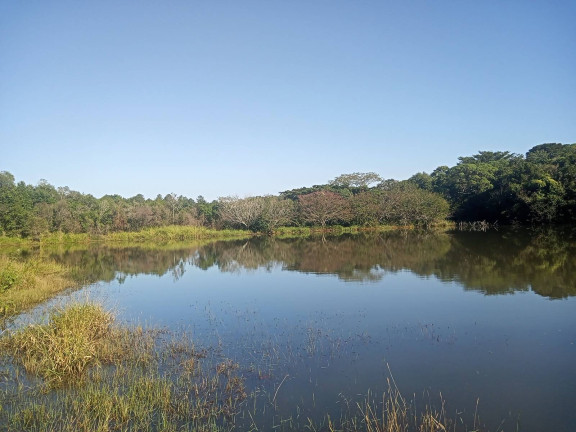 Imagem Chácara à Venda, 29.000 m² em Pimenta - Viamão