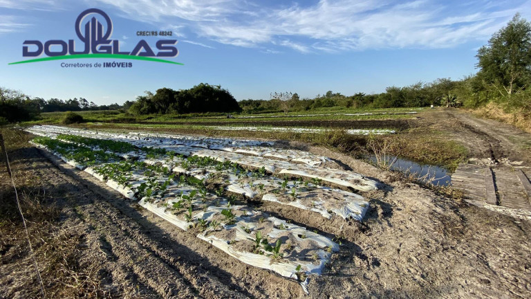 Imagem Chácara à Venda, em águas Claras - Viamão Imagem Chácara à Venda, em águas Claras - Viamão