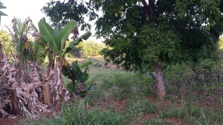 Imagem Chácara à Venda, 1.550 m² em Granjas Rurais Reunidas São Judas Tadeu - Taubaté Imagem Chácara à Venda, 1.550 m² em Granjas Rurais Reunidas São Judas Tadeu - Taubaté