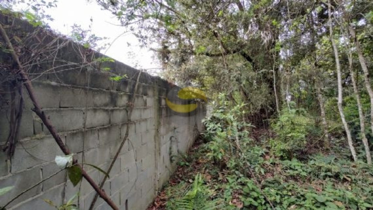 Imagem Terreno à Venda, 3.000 m² em Paisagem Renoir - Cotia