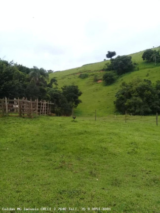 Imagem Chácara à Venda, 44.800 m² em Santo Antônio De Caldas - Caldas Imagem Chácara à Venda, 44.800 m² em Santo Antônio De Caldas - Caldas