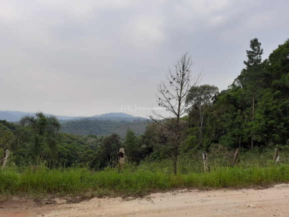 Imagem Fazenda à Venda, 127.997 m² em Pacotuba - Almirante Tamandaré