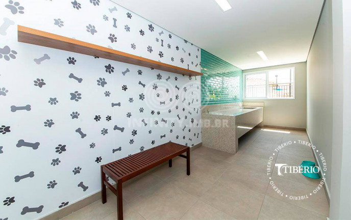 Imagem Apartamento com 3 Quartos à Venda, 76 m² em Saúde - São Paulo