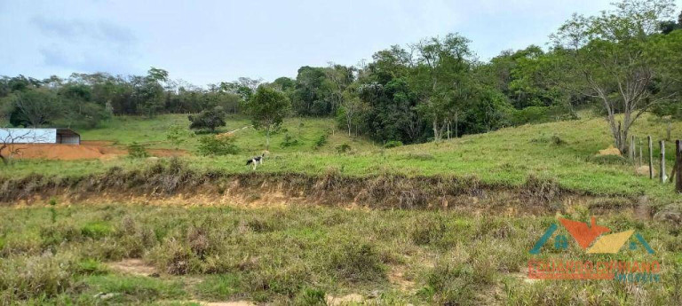 Imagem Imóvel à Venda, 31.000 m² em Capim Da Angola - Paraibuna