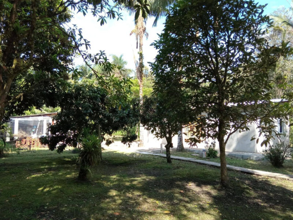 Imagem Chácara com 4 Quartos à Venda, 5.000 m² em Jardim Aguapeú - Itanhaém Imagem Chácara com 4 Quartos à Venda, 5.000 m² em Jardim Aguapeú - Itanhaém
