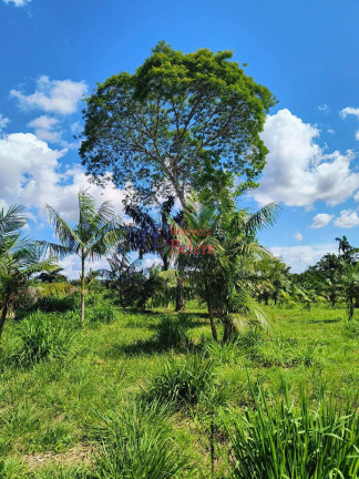 Imagem Imóvel com 2 Quartos à Venda, 200.000 m² em Centro - Acará Imagem Imóvel com 2 Quartos à Venda, 200.000 m² em Centro - Acará
