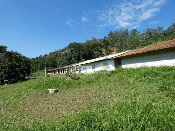 Imagem Imóvel com 3 Quartos para Alugar, 72.000 m² em Granja Mafra - Teresópolis Imagem Imóvel com 3 Quartos para Alugar, 72.000 m² em Granja Mafra - Teresópolis