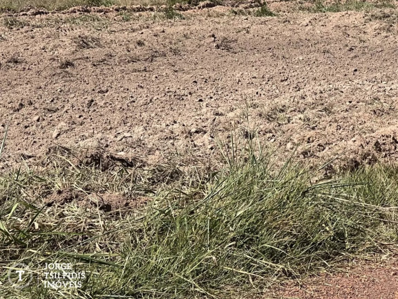 Imagem Fazenda à Venda, 900 m² em Zona Rural - Juara Imagem Fazenda à Venda, 900 m² em Zona Rural - Juara