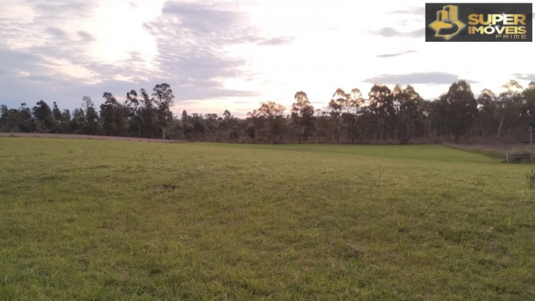 Imagem Imóvel com 3 Quartos à Venda, 660.000 m² em Zona Rural - Capão Do Leão