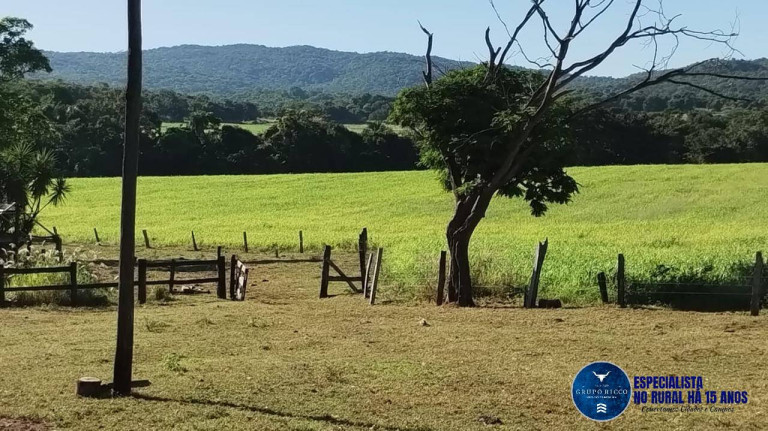 Imagem Fazenda à Venda, 92 m² em Zona Rural - Jaupaci Imagem Fazenda à Venda, 92 m² em Zona Rural - Jaupaci