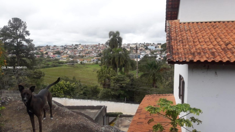 Imagem Imóvel com 3 Quartos à Venda, 600 m² em Centro - Ibiúna Imagem Imóvel com 3 Quartos à Venda, 600 m² em Centro - Ibiúna