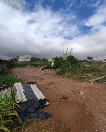 Imagem Terreno à Venda, 5.000 m² em Centro - Pinhais Imagem Terreno à Venda, 5.000 m² em Centro - Pinhais