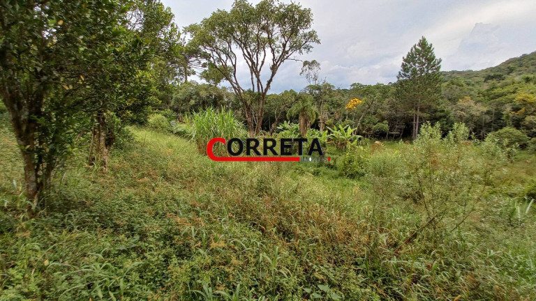Imagem Casa com 3 Quartos à Venda, 3.848 m² em Vargem Do Salto - Ibiúna Imagem Casa com 3 Quartos à Venda, 3.848 m² em Vargem Do Salto - Ibiúna