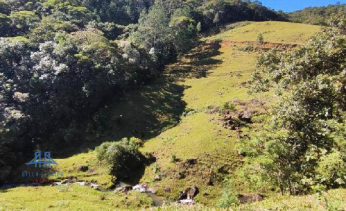 Imagem Terreno à Venda, 20.004 m² em Centro - São Pedro De Alcântara Imagem Terreno à Venda, 20.004 m² em Centro - São Pedro De Alcântara