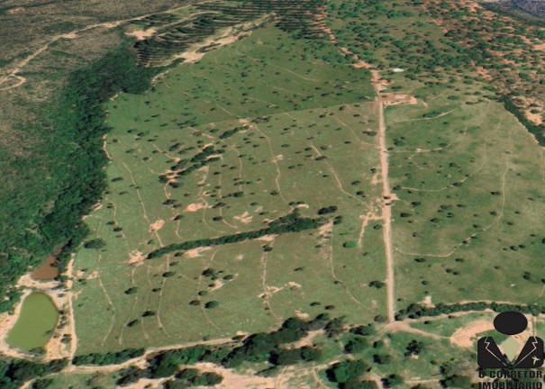 Imagem Imóvel à Venda, 20.000 m² em Fazendinhas Guará - Jequitibá Imagem Imóvel à Venda, 20.000 m² em Fazendinhas Guará - Jequitibá