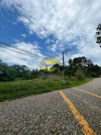 Imagem Terreno à Venda, 4.973 m² em Paisagem Renoir - Cotia