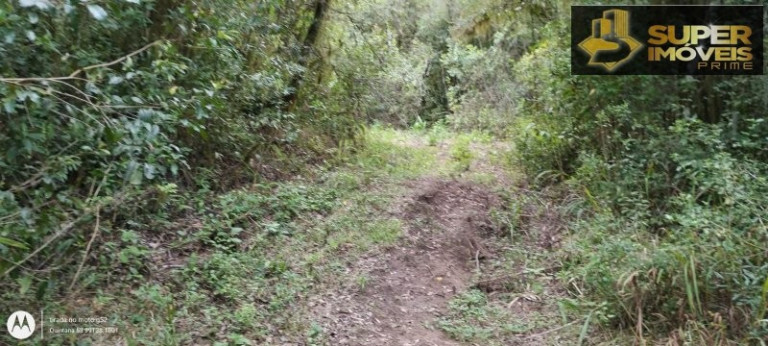 Imagem Imóvel com 4 Quartos à Venda, 150.000 m² em Zona Rural - Morro Redondo Imagem Imóvel com 4 Quartos à Venda, 150.000 m² em Zona Rural - Morro Redondo