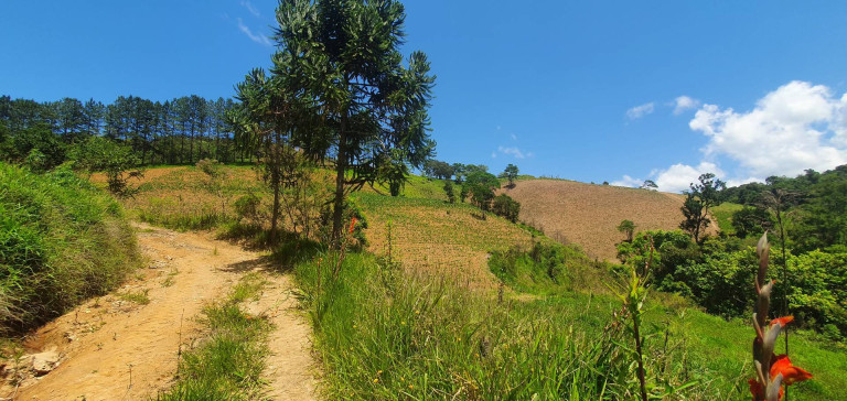 Imagem Fazenda à Venda, 193.871 m² em Turvo - Tapiraí Imagem Fazenda à Venda, 193.871 m² em Turvo - Tapiraí