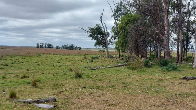 Imagem Imóvel com 2 Quartos à Venda, 2.656 m² em Quaraí Imagem Imóvel com 2 Quartos à Venda, 2.656 m² em Quaraí
