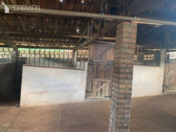 Imagem Fazenda à Venda, 6 m² em Zona Rural - São Simão Imagem Fazenda à Venda, 6 m² em Zona Rural - São Simão