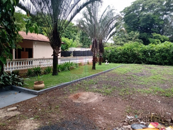 Imagem Imóvel com 4 Quartos à Venda, 13.000 m² em Jardim Das Palmeiras - Ribeirão Preto Imagem Imóvel com 4 Quartos à Venda, 13.000 m² em Jardim Das Palmeiras - Ribeirão Preto