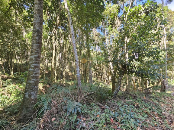 Imagem Terreno à Venda, 5.000 m² em Green Valleiy - Teresópolis Imagem Terreno à Venda, 5.000 m² em Green Valleiy - Teresópolis