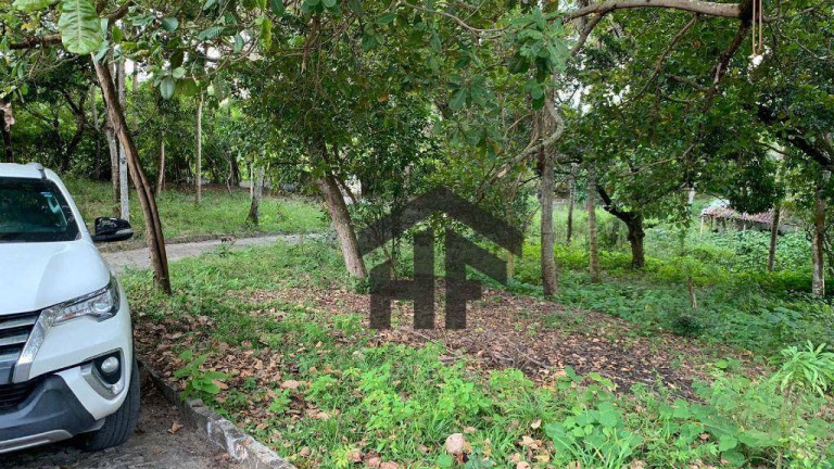 Imagem Imóvel com 3 Quartos à Venda, 10.000 m² em Sítio Dos Marcos - Igarassu