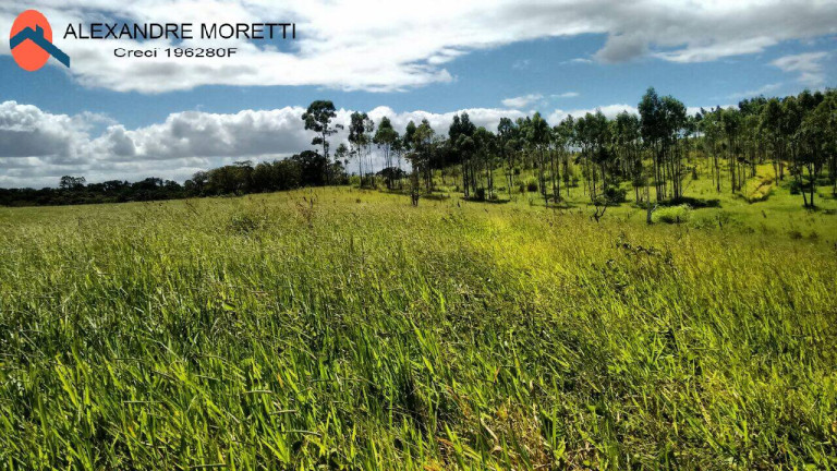 Imagem Terreno à Venda, 2.000 m² em Brigadeiro Tobias - Sorocaba Imagem Terreno à Venda, 2.000 m² em Brigadeiro Tobias - Sorocaba