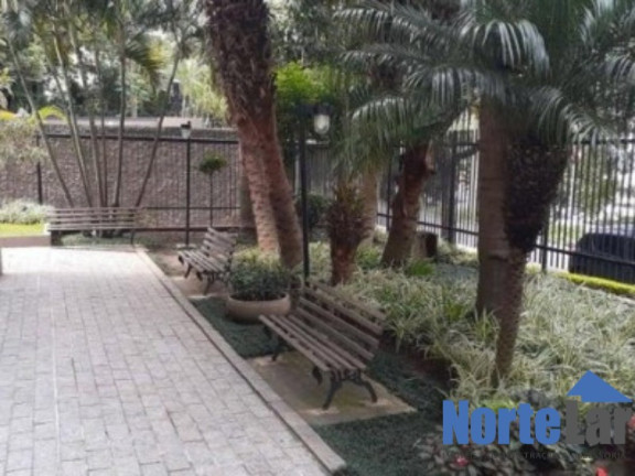Imagem Apartamento com 3 Quartos à Venda, 67 m² em Jardim Paraíso - São Paulo Imagem Apartamento com 3 Quartos à Venda, 67 m² em Jardim Paraíso - São Paulo