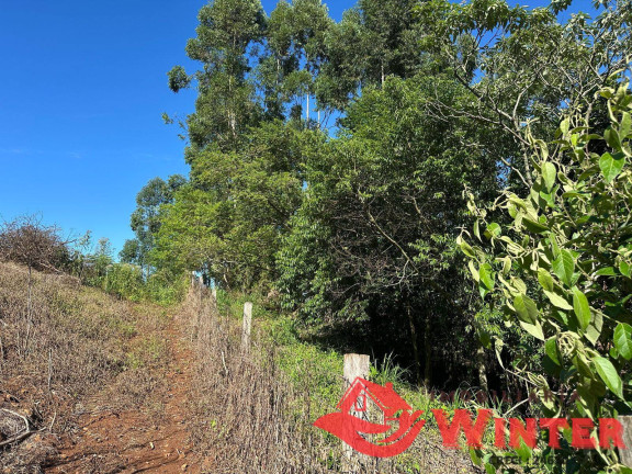 Imagem Chácara à Venda, 2.500 m² em Arroio Das Pedras - Bom Princípio Imagem Chácara à Venda, 2.500 m² em Arroio Das Pedras - Bom Princípio