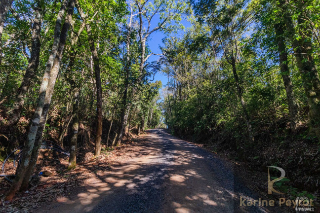 Imagem Terreno à Venda, 3.000 m² em Fazenda São Borja - São Leopoldo