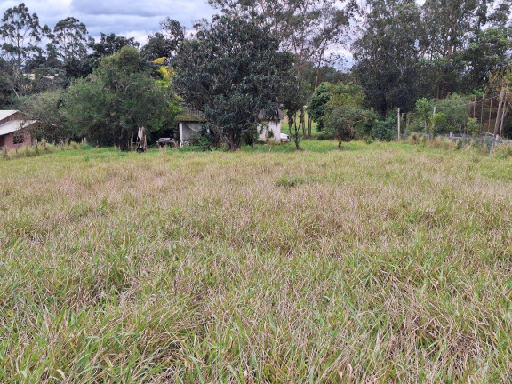 Imagem Chácara com 2 Quartos à Venda, 12.000 m² em Santo Onofre - Viamão