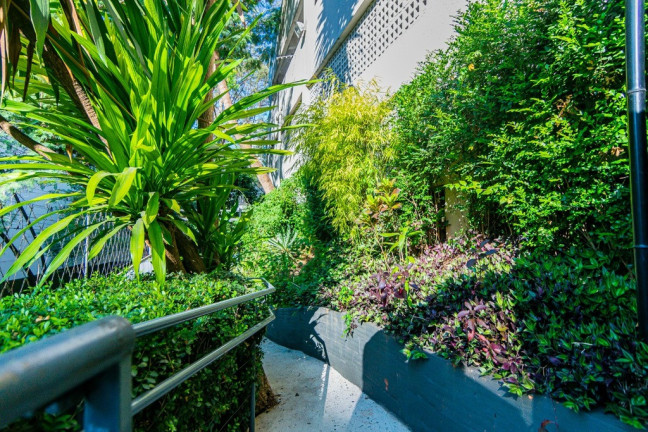 Imagem Imóvel com 3 Quartos à Venda, 61 m² em Vila Andrade - São Paulo Imagem Imóvel com 3 Quartos à Venda, 61 m² em Vila Andrade - São Paulo