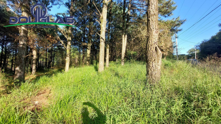Imagem Terreno à Venda, 3.100 m² em São Tomé - Viamão