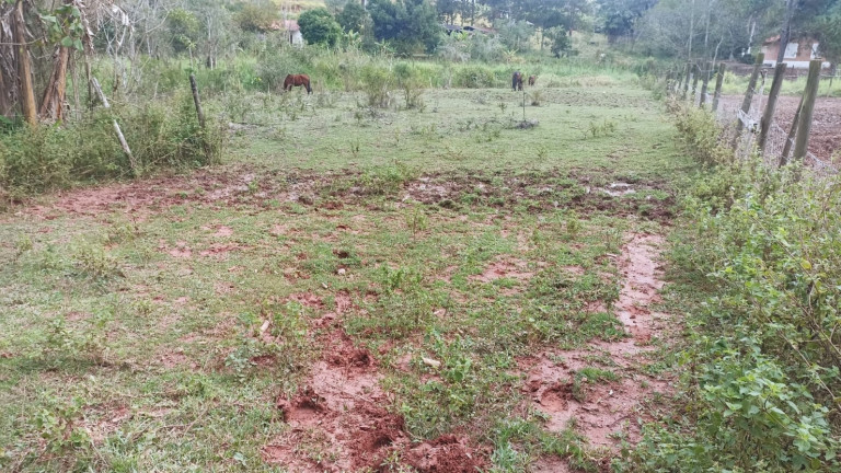 Imagem Chácara com 3 Quartos à Venda, 300 m² em Itapeva - Paraibuna Imagem Chácara com 3 Quartos à Venda, 300 m² em Itapeva - Paraibuna