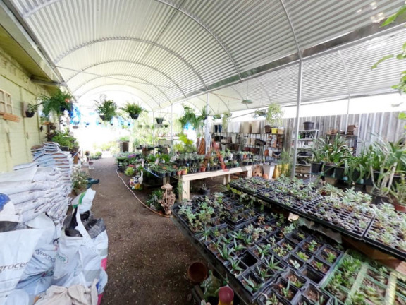 Imagem Terreno à Venda, 381 m² em Centro - Guarapuava Imagem Terreno à Venda, 381 m² em Centro - Guarapuava