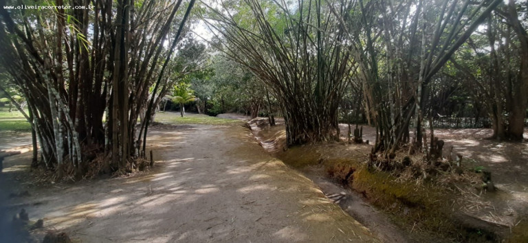 Imagem Imóvel com 30 Quartos à Venda, 40.000 m² em Indústrias - João Pessoa Imagem Imóvel com 30 Quartos à Venda, 40.000 m² em Indústrias - João Pessoa