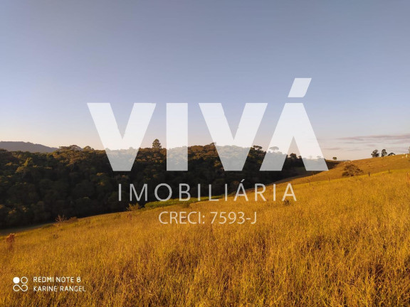 Imagem Terreno à Venda, 2.006 m² em Estrada De Toledo - Extrema