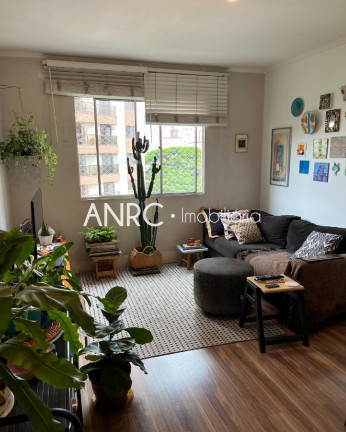 Imagem Imóvel com 3 Quartos à Venda, 62 m² em Vila Mariana - São Paulo