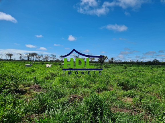 Imagem Fazenda à Venda, 110 m² em Cocalinho