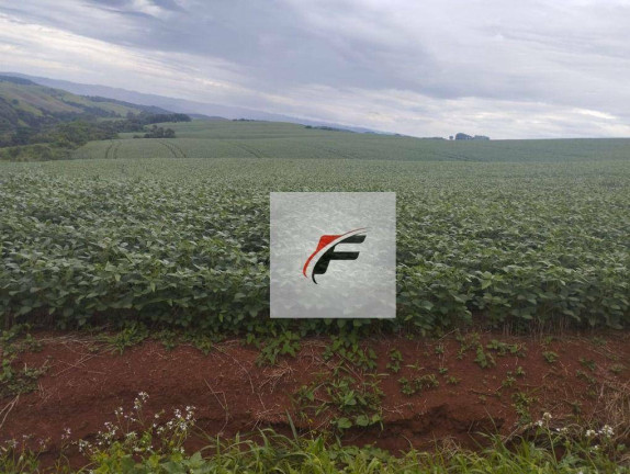 Fazenda à Venda, 871.200 m² em Centro - Guarapuava