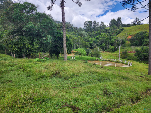 Imagem Imóvel com 3 Quartos à Venda, 77.860 m² em Zona Rural - Alfredo Wagner Imagem Imóvel com 3 Quartos à Venda, 77.860 m² em Zona Rural - Alfredo Wagner