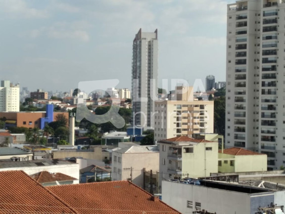 Imagem Casa com 2 Quartos à Venda, 41 m² em Parada Inglesa - São Paulo Imagem Casa com 2 Quartos à Venda, 41 m² em Parada Inglesa - São Paulo