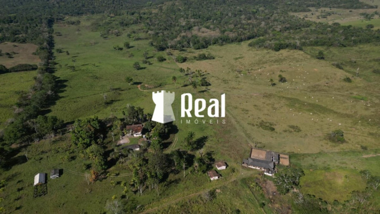 Imagem Fazenda à Venda, 1.300.000 m² em Centro - Mata De São João