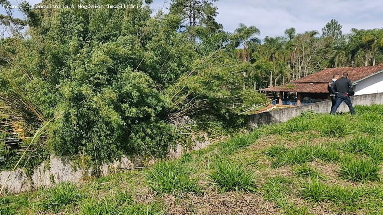 Imagem Terreno à Venda, 28.700 m² em Ouro Fino Paulista - Ribeirão Pires Imagem Terreno à Venda, 28.700 m² em Ouro Fino Paulista - Ribeirão Pires