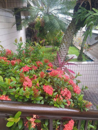 Imagem Cobertura com 3 Quartos à Venda, 178 m² em Vila Guilhermina - Praia Grande Imagem Cobertura com 3 Quartos à Venda, 178 m² em Vila Guilhermina - Praia Grande