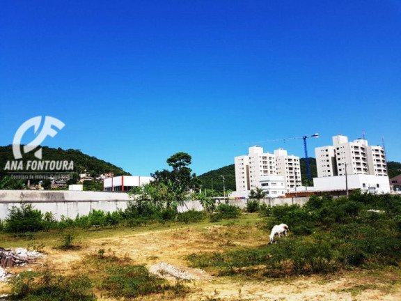 Imagem Imóvel à Venda, 3.875 m² em São Francisco De Assis - Camboriú