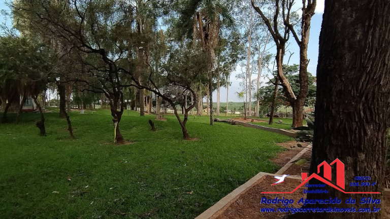 Imagem Chácara com 3 Quartos à Venda, 2 m² em Birigui Imagem Chácara com 3 Quartos à Venda, 2 m² em Birigui