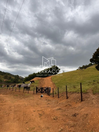 Imagem Terreno à Venda, 97.000 m² em Bairro Correntinho - Munhoz Imagem Terreno à Venda, 97.000 m² em Bairro Correntinho - Munhoz