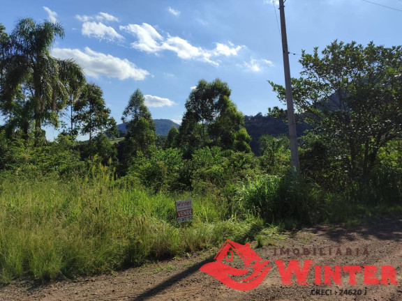 Imagem Chácara à Venda, 5 m² em Canto Lippert - Linha Nova Imagem Chácara à Venda, 5 m² em Canto Lippert - Linha Nova